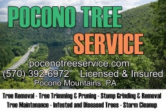 pocono-tree-service-flyer