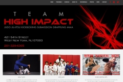 High Impact Martial Arts - highimpactma.com